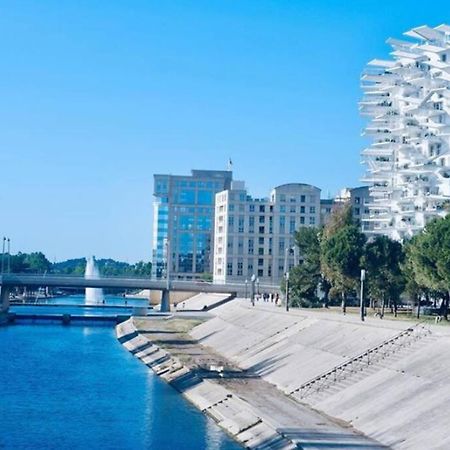 Appartement T2 A L'Arbre Blanc Μονπελιέ Εξωτερικό φωτογραφία