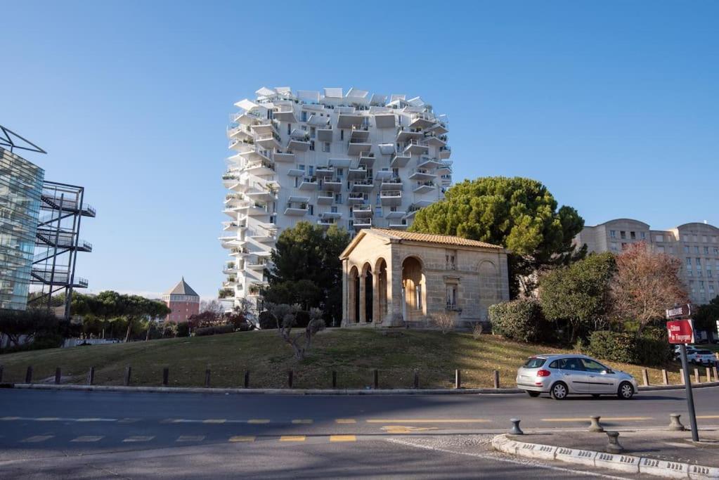 Appartement T2 A L'Arbre Blanc Μονπελιέ Εξωτερικό φωτογραφία